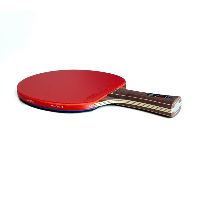 مضرب تنس الطاولة من ليموريا إي - مراجعة Table Tennis Zlc وسعره