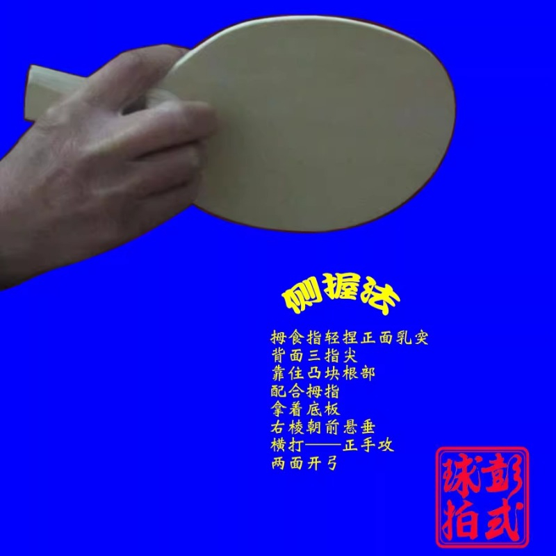 مضارب تنس الطاولة على الطراز ا - مراجعة Table Tennis Umpire وسعره