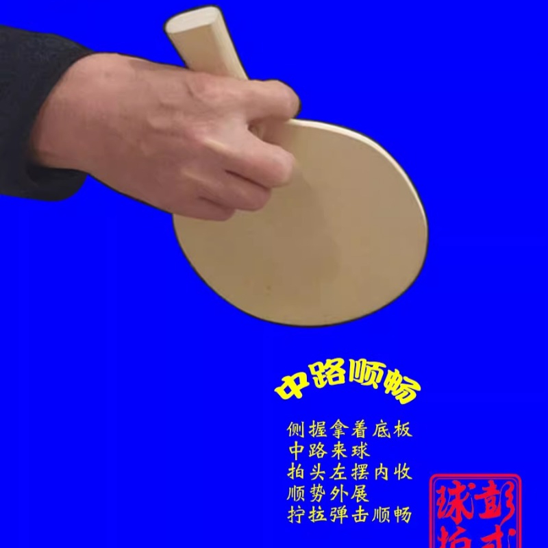 مضارب تنس الطاولة على الطراز ا - مراجعة Table Tennis Umpire وسعره