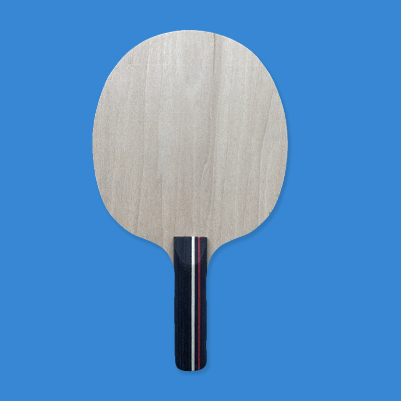 مضرب تنس طاولة صغير من 5 طبقات - مراجعة Table Tennis Umpire وسعره