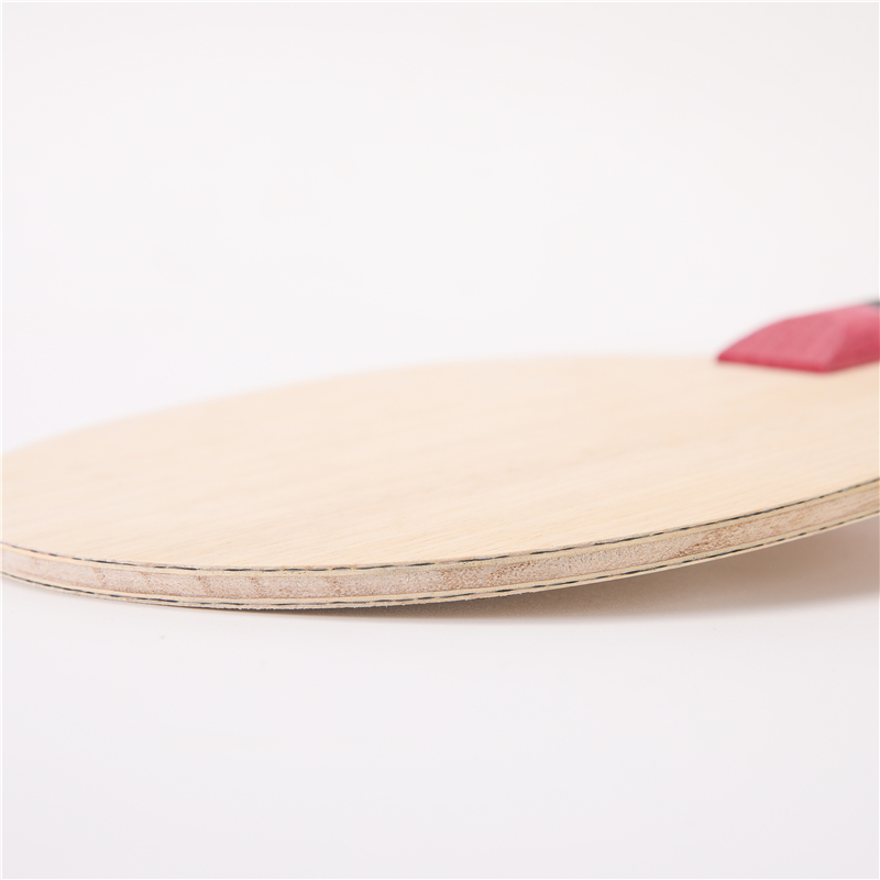 مضرب تنس من طبقات الخشب ، أليا - مراجعة Table Tennis Zlc وسعره